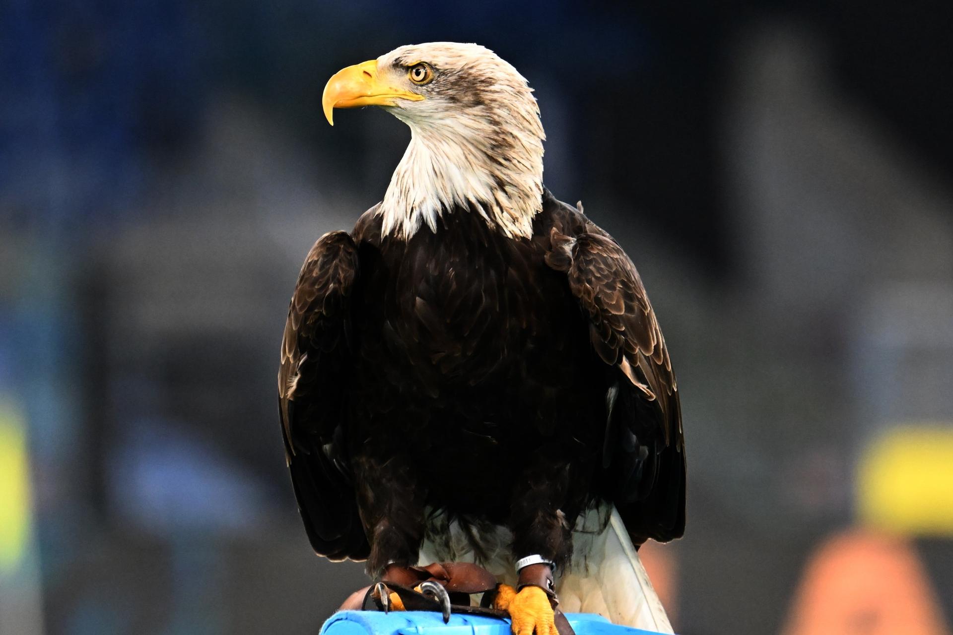 Lazio, Flaminia pronta all’esordio: ecco quando debutterà all’Olimpico