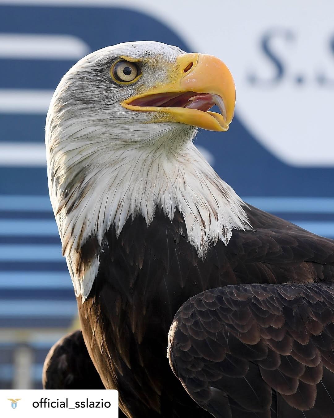 Lazio, torna l’aquila: l’annuncio del club (FT)
