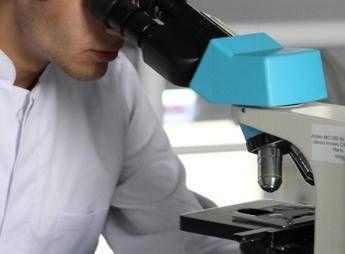 Cancro al seno, svolta per cure su misura dall’identikit del tumore resistente ai farmaci